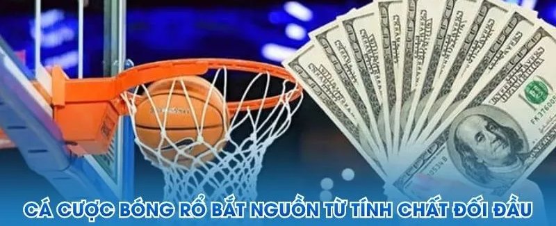 Sảnh cá cược bóng rổ 8xbet với kèo NBA và các giải đấu lớn