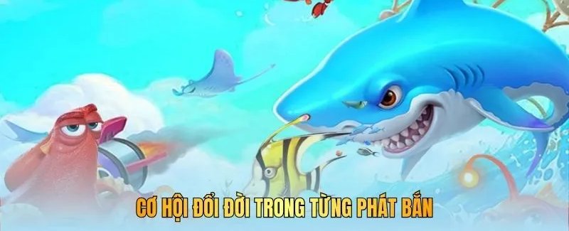Khuyến mãi bắn cá 8xbet hoàn trả hằng ngày cho xạ thủ